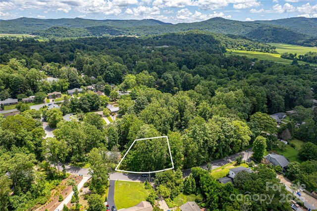 TBD Grove St Unit 25, Brevard, NC 28712 - photo 8