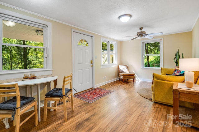 292 Beaucatcher Rd, Asheville, NC 28805 - photo 8
