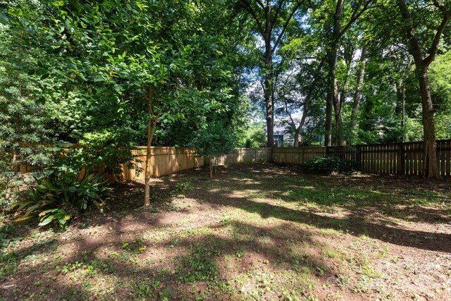 428 Walnut Ave, Charlotte, NC 28208 - photo 30