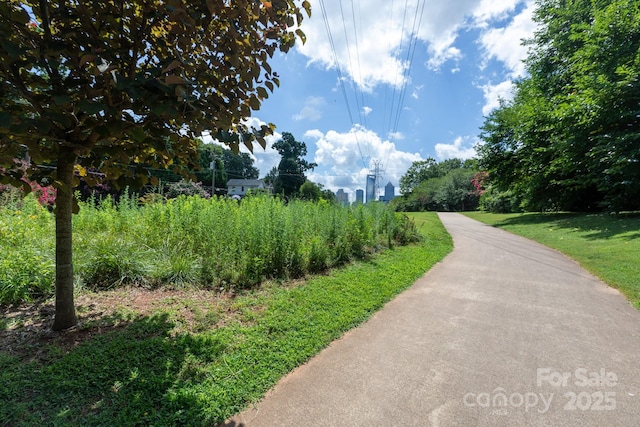 428 Walnut Ave, Charlotte, NC 28208 - photo 38