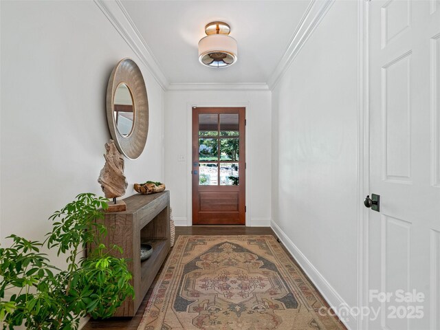 13 Robinhood Rd, Asheville, NC 28804 - photo 4