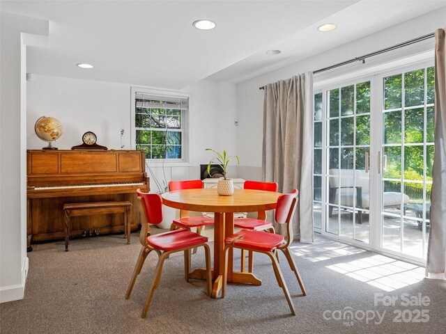13 Robinhood Rd, Asheville, NC 28804 - photo 36