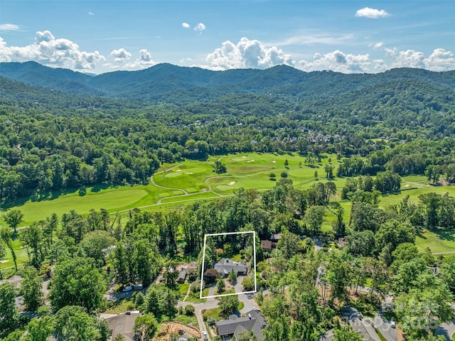 13 Robinhood Rd, Asheville, NC 28804 - photo 43