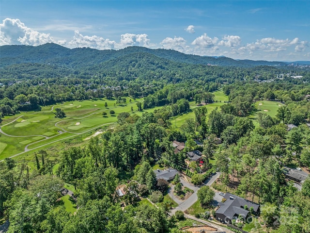 13 Robinhood Rd, Asheville, NC 28804 - photo 44