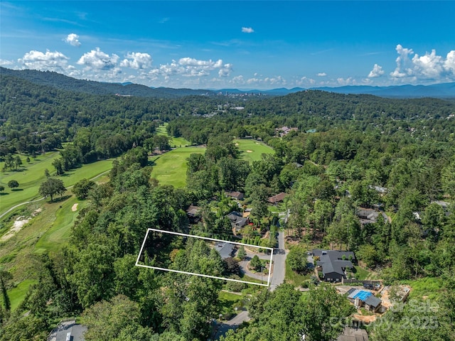 13 Robinhood Rd, Asheville, NC 28804 - photo 45