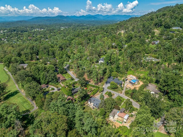 13 Robinhood Rd, Asheville, NC 28804 - photo 47