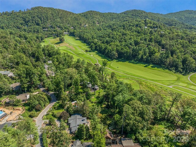 13 Robinhood Rd, Asheville, NC 28804 - photo 48