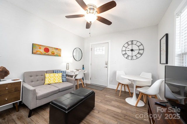 18 Oteen Park Pl, Asheville, NC 28805 - photo 5