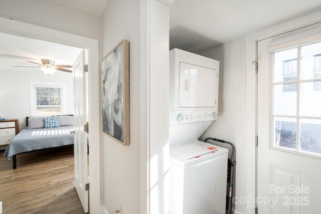 18 Oteen Park Pl, Asheville, NC 28805 - photo 29