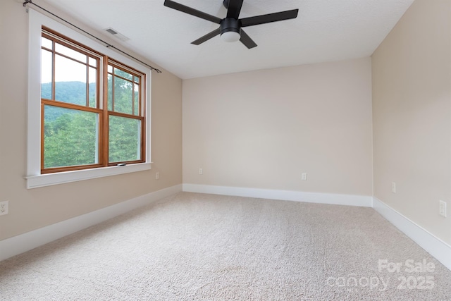 39 Village Pointe Ln, Asheville, NC 28803 - photo 30