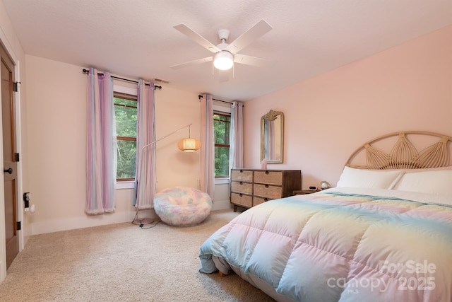 39 Village Pointe Ln, Asheville, NC 28803 - photo 34