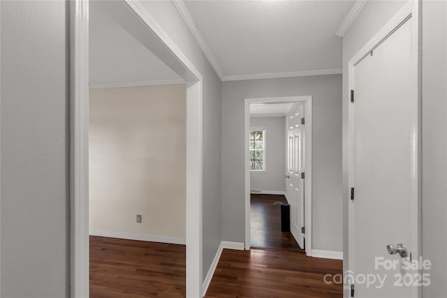 981 Ragin Ln, Rock Hill, SC 29732 - photo 10