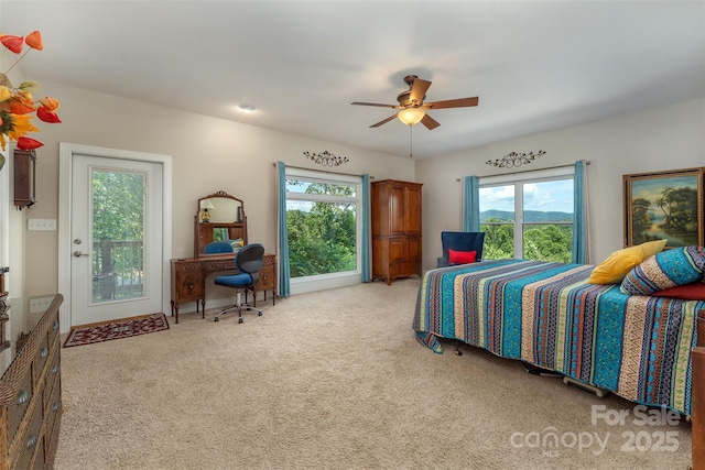 18 Timber Moss Dr, Asheville, NC 28804 - photo 16