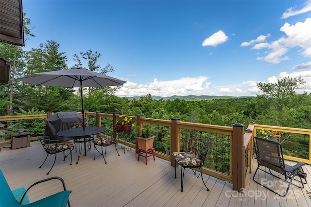 18 Timber Moss Dr, Asheville, NC 28804 - photo 30