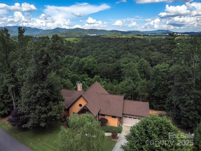 18 Timber Moss Dr, Asheville, NC 28804 - photo 39