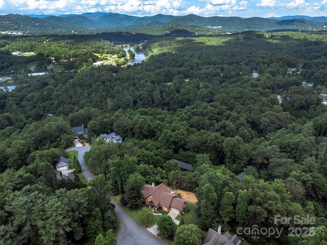 18 Timber Moss Dr, Asheville, NC 28804 - photo 41