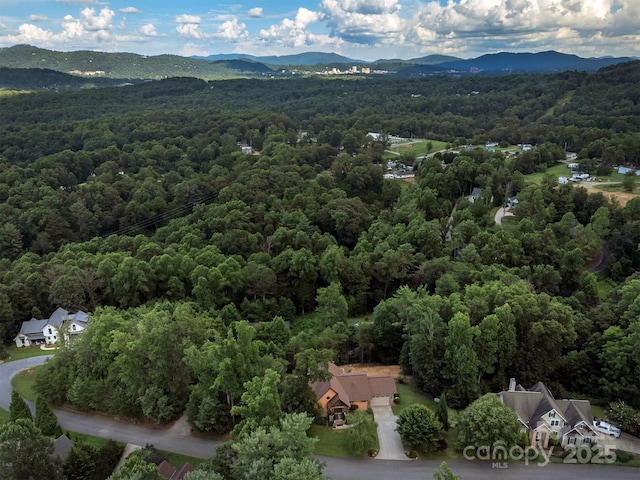 18 Timber Moss Dr, Asheville, NC 28804 - photo 45