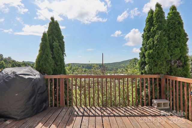 122 Dena Nix Ln, Hendersonville, NC 28792 - photo 33