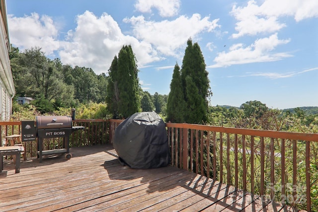 122 Dena Nix Ln, Hendersonville, NC 28792 - photo 34