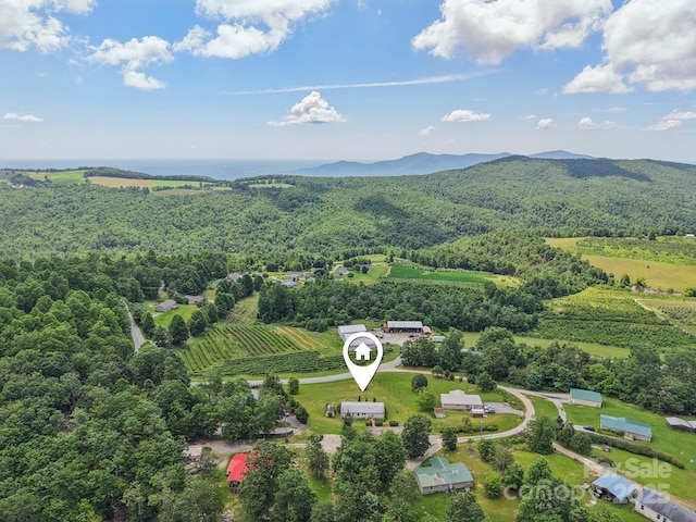 122 Dena Nix Ln, Hendersonville, NC 28792 - photo 41