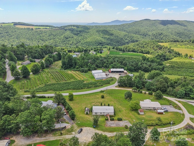 122 Dena Nix Ln, Hendersonville, NC 28792 - photo 42