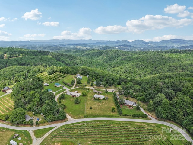 122 Dena Nix Ln, Hendersonville, NC 28792 - photo 46