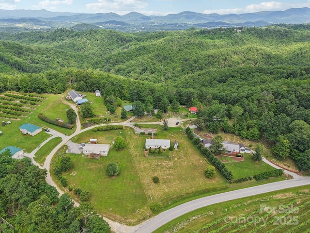 122 Dena Nix Ln, Hendersonville, NC 28792 - photo 47