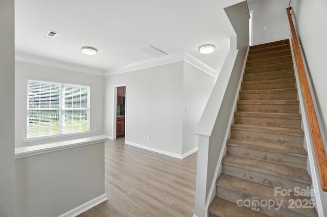 2335 Big Pine Dr, Matthews, NC 28105 - photo 4