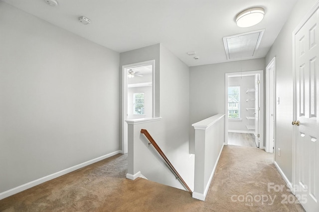 2335 Big Pine Dr, Matthews, NC 28105 - photo 21