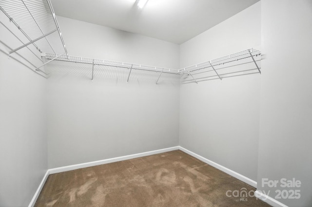 2335 Big Pine Dr, Matthews, NC 28105 - photo 25