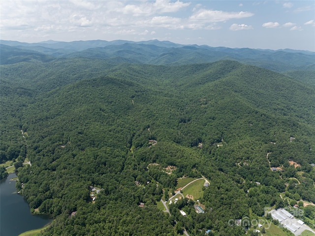 1000 Sutton Creek Rd, Pisgah Forest, NC 28768 - photo 1