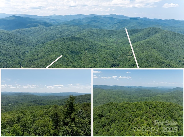 1000 Sutton Creek Rd, Pisgah Forest, NC 28768 - photo 2