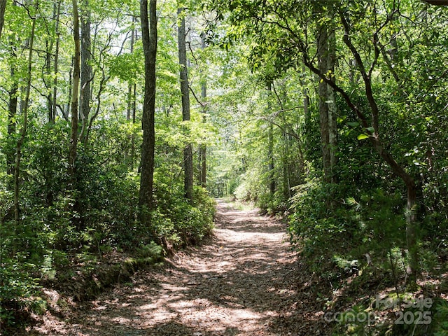1000 Sutton Creek Rd, Pisgah Forest, NC 28768 - photo 3