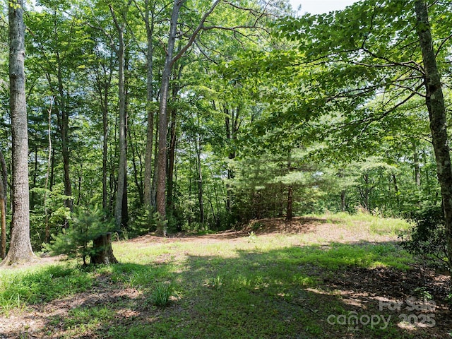 1000 Sutton Creek Rd, Pisgah Forest, NC 28768 - photo 4