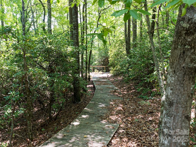 1000 Sutton Creek Rd, Pisgah Forest, NC 28768 - photo 5