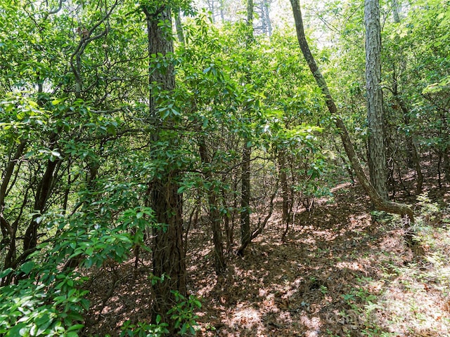 1000 Sutton Creek Rd, Pisgah Forest, NC 28768 - photo 8