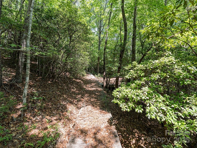 1000 Sutton Creek Rd, Pisgah Forest, NC 28768 - photo 10