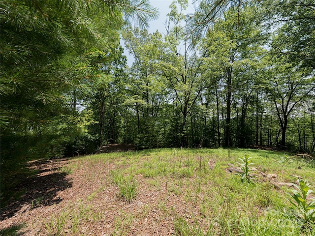 1000 Sutton Creek Rd, Pisgah Forest, NC 28768 - photo 12