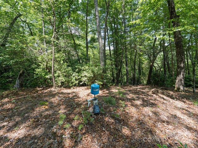 1000 Sutton Creek Rd, Pisgah Forest, NC 28768 - photo 14