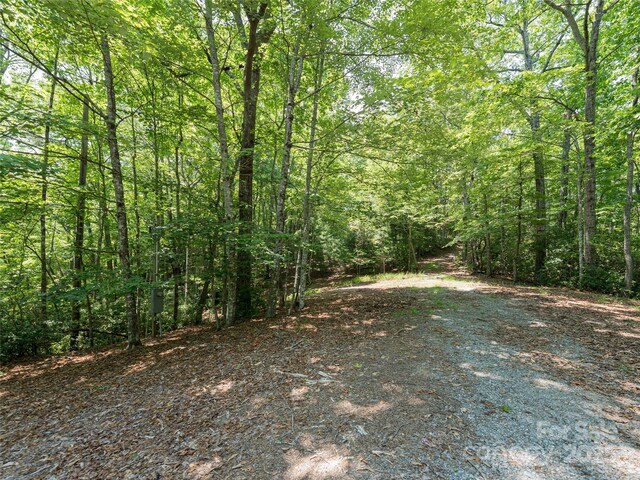 1000 Sutton Creek Rd, Pisgah Forest, NC 28768 - photo 16