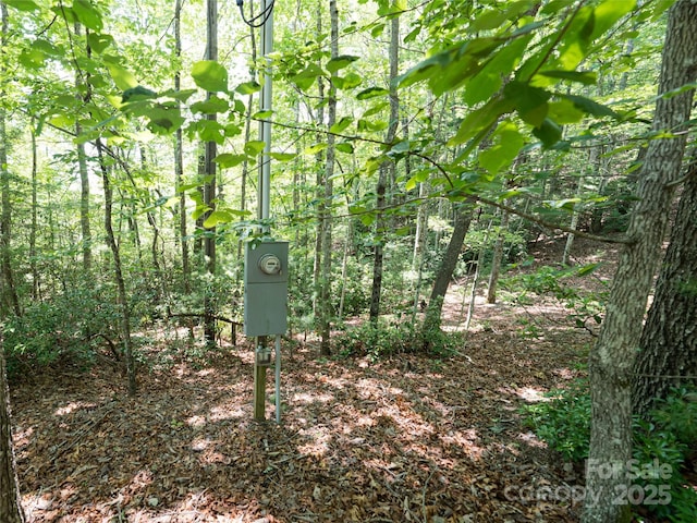 1000 Sutton Creek Rd, Pisgah Forest, NC 28768 - photo 17