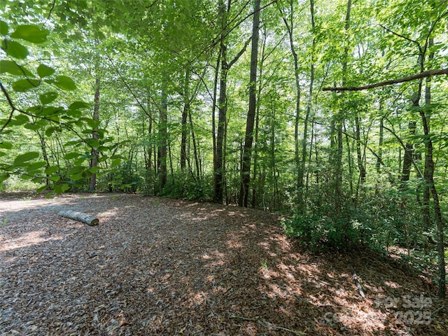 1000 Sutton Creek Rd, Pisgah Forest, NC 28768 - photo 18