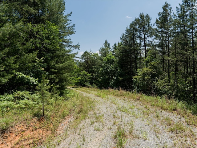 1000 Sutton Creek Rd, Pisgah Forest, NC 28768 - photo 19