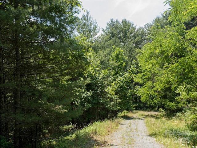 1000 Sutton Creek Rd, Pisgah Forest, NC 28768 - photo 20