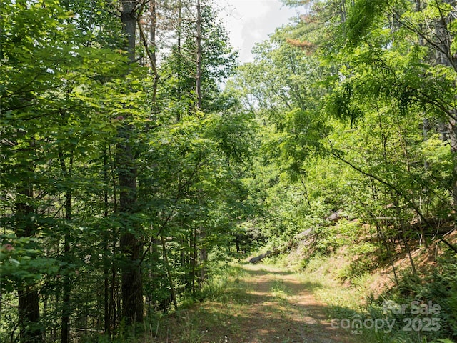 1000 Sutton Creek Rd, Pisgah Forest, NC 28768 - photo 21