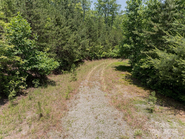 1000 Sutton Creek Rd, Pisgah Forest, NC 28768 - photo 22