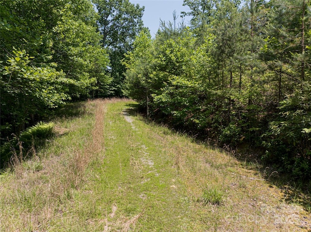 1000 Sutton Creek Rd, Pisgah Forest, NC 28768 - photo 23