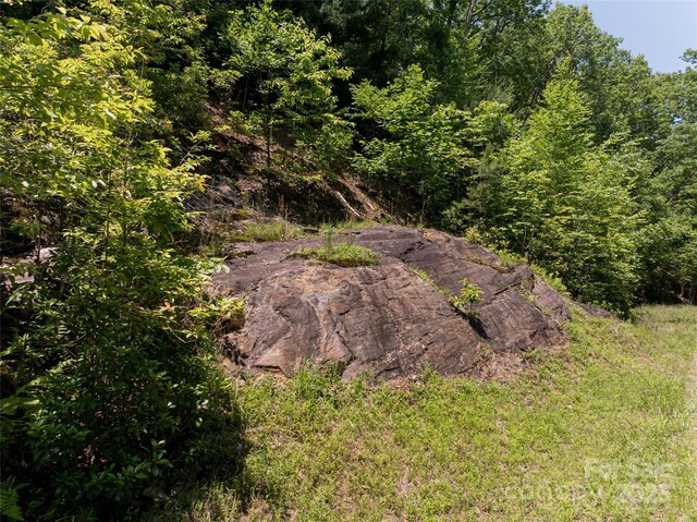 1000 Sutton Creek Rd, Pisgah Forest, NC 28768 - photo 24