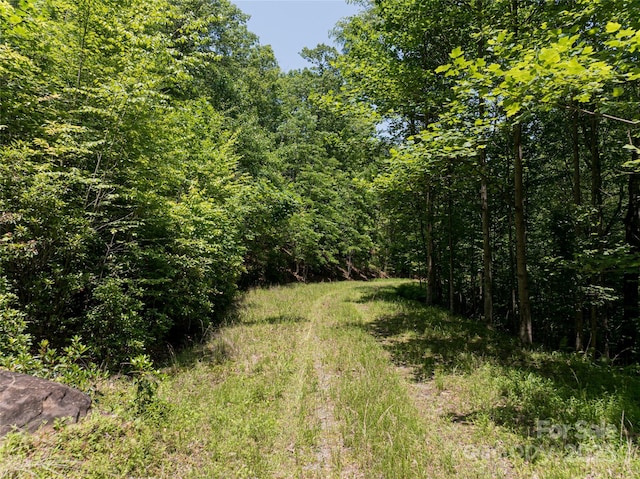 1000 Sutton Creek Rd, Pisgah Forest, NC 28768 - photo 25