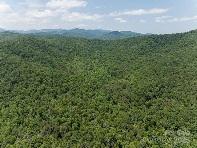 1000 Sutton Creek Rd, Pisgah Forest, NC 28768 - photo 26